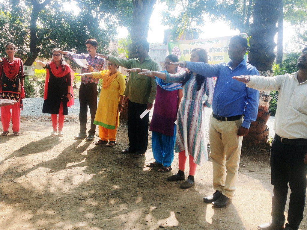 Celebration of Constitution Day